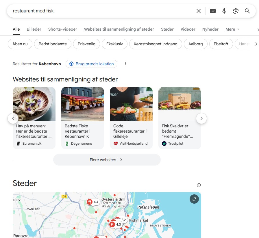 google søgeresultat