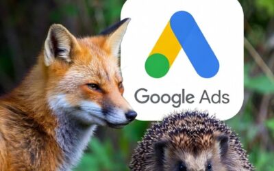 Google Ads specialist: er du en ræv eller et pindsvin?