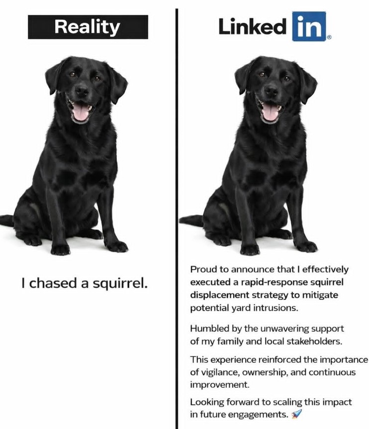 linkedin selvpromovering